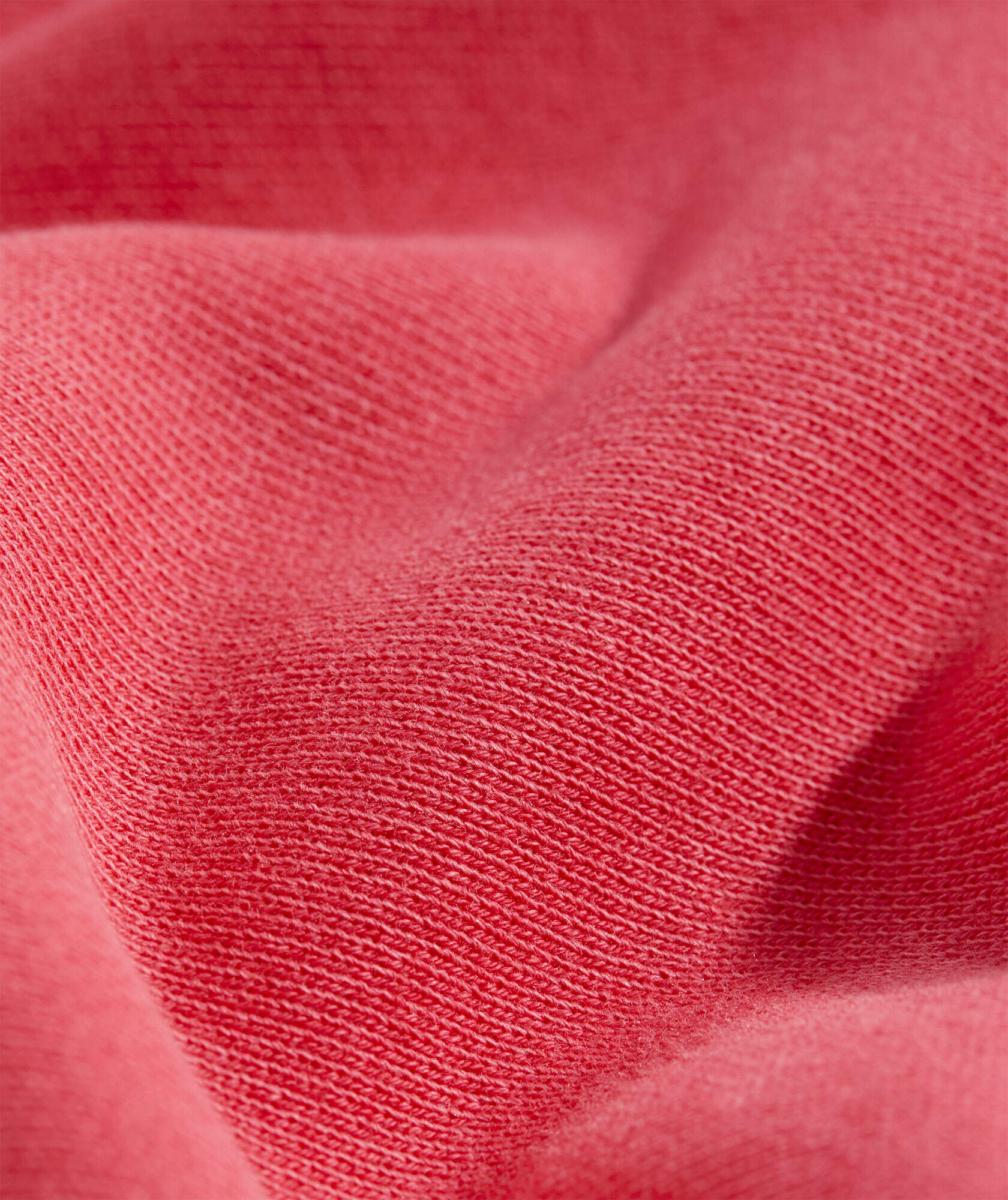 Polo Popover Sweatshirt
