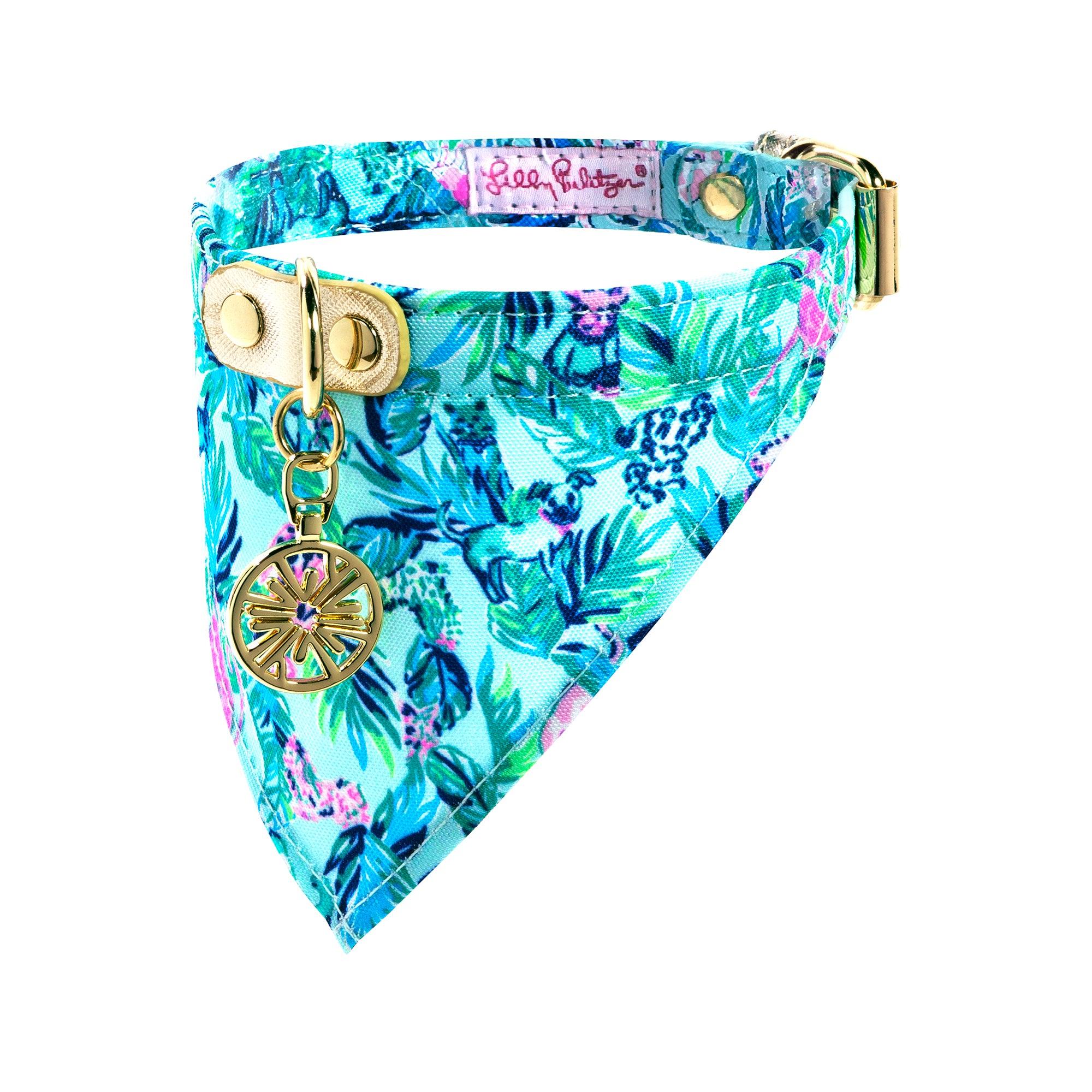 Dog Collar with Bandana