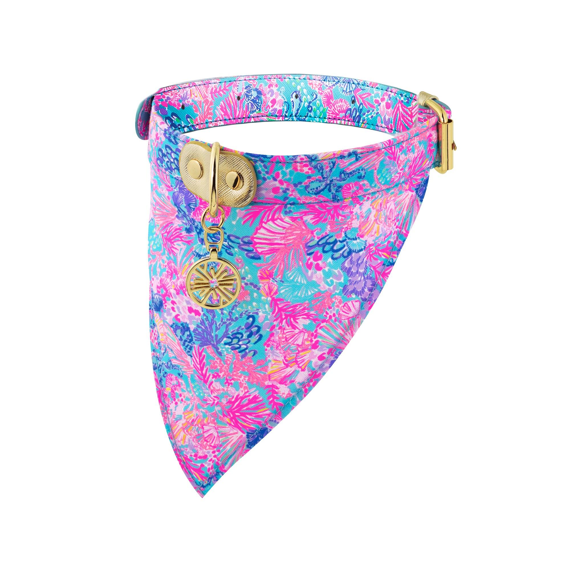 Dog Collar with Bandana