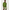 010040_oregano-sf