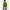 010040_oregano_a1-sf