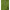 010040_oregano_a4-sf