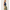 017872_multipalmprowl_a4-sf