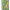 019836_multipalmprowlengineeredromper_a3-sf