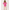 020481_pinkasterthecasbahallover_a1-sf