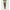 022641_multililpalmprowl_a1-sf