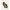 022667_cocobeach_a2-sf
