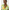 022675_cocobeach_a1-sf