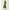 022685_oreganoscallopedeyeletborderpoplin-sf