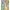 022703_multipalmprowl_a4-sf