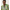 022738_multililpalmprowlengineeredwovendress_a2-sf