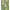 022738_multililpalmprowlengineeredwovendress_a4-sf