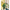 022826_coconutoversizedkeywesttoileengineeredwove_a6-sf