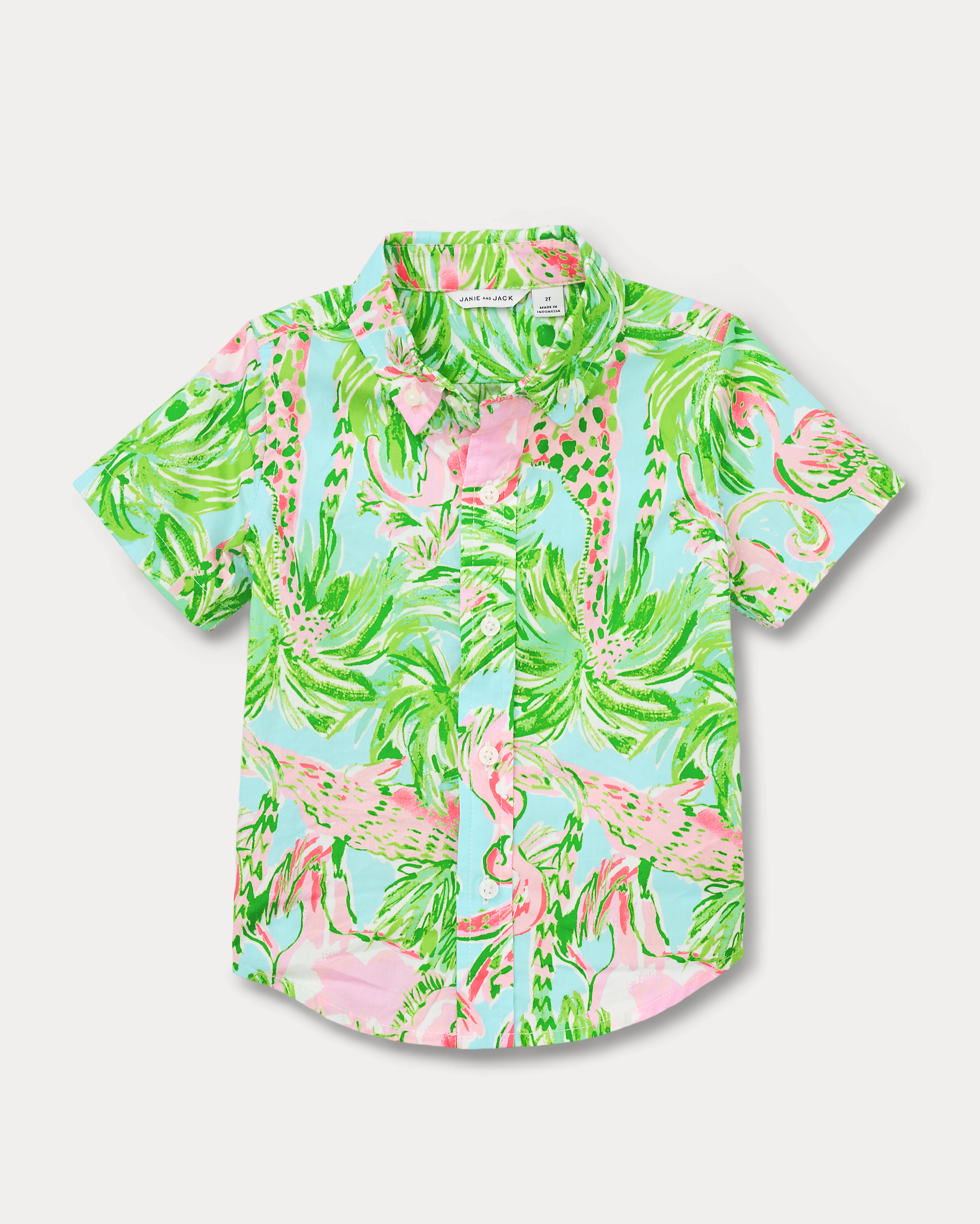 LAVIN BUTTON DOWN