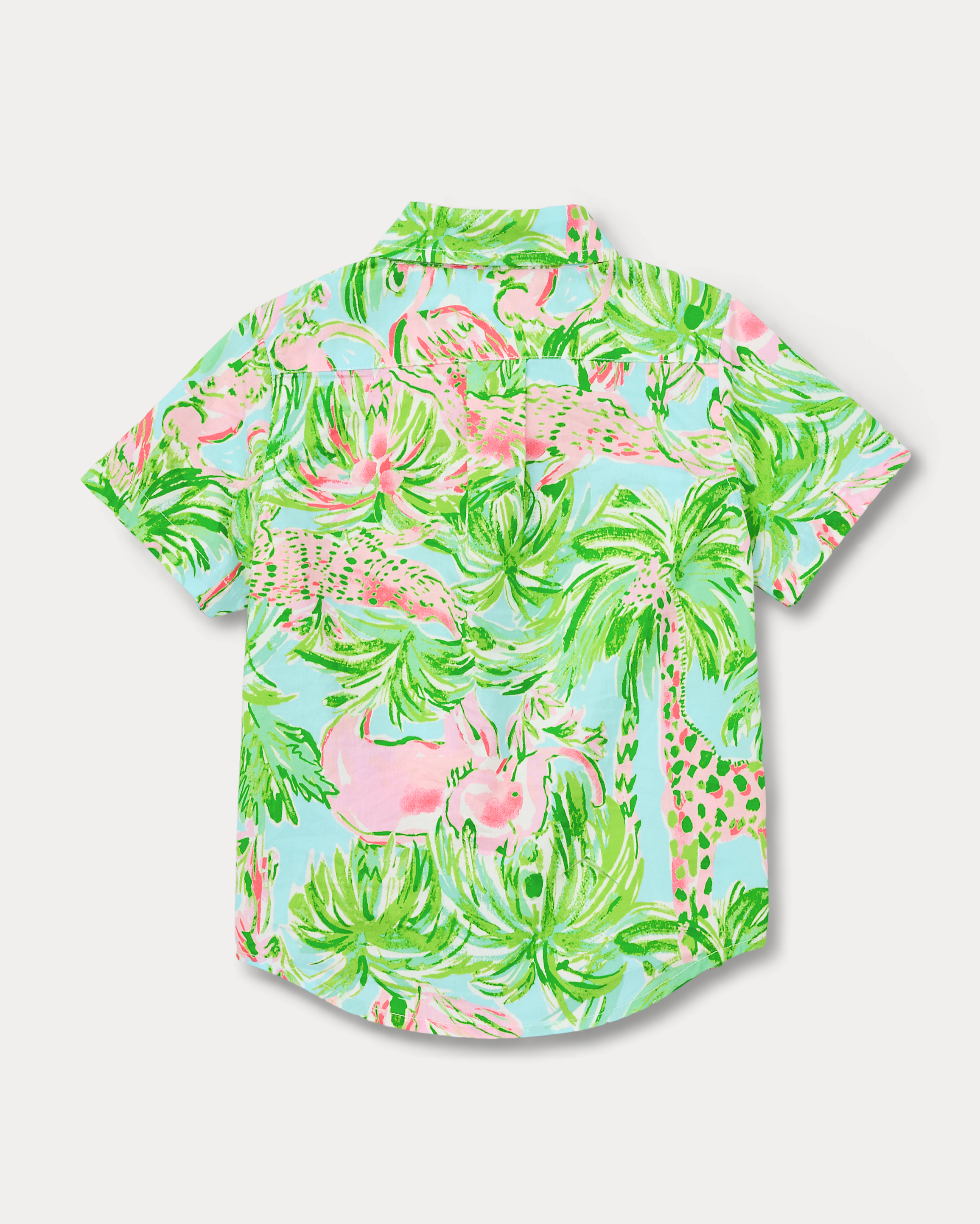 LAVIN BUTTON DOWN