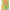 023102_rutabagasympeony_a4-sf
