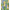 023124_multililpalmprowl_a4-sf