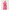 023147_pinkasterthecasbahallover_a1-sf