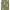 023508_multililpalmprowl_a4-sf