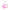 Neoprene Cooler, Conch Shell Pink Burst of Joy