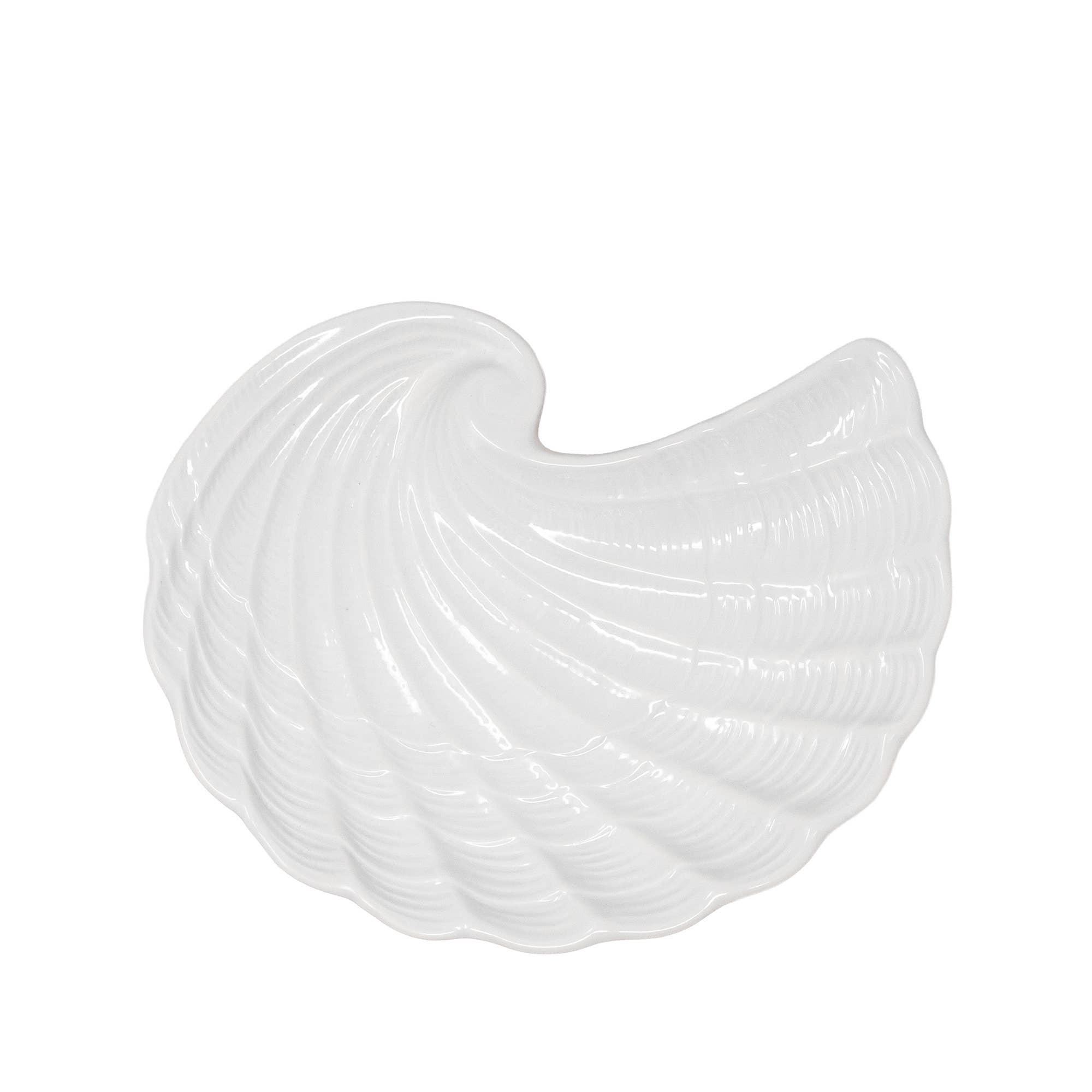 Shell Plate Set, Nautilus