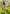 022790_sympeonywash-sf
