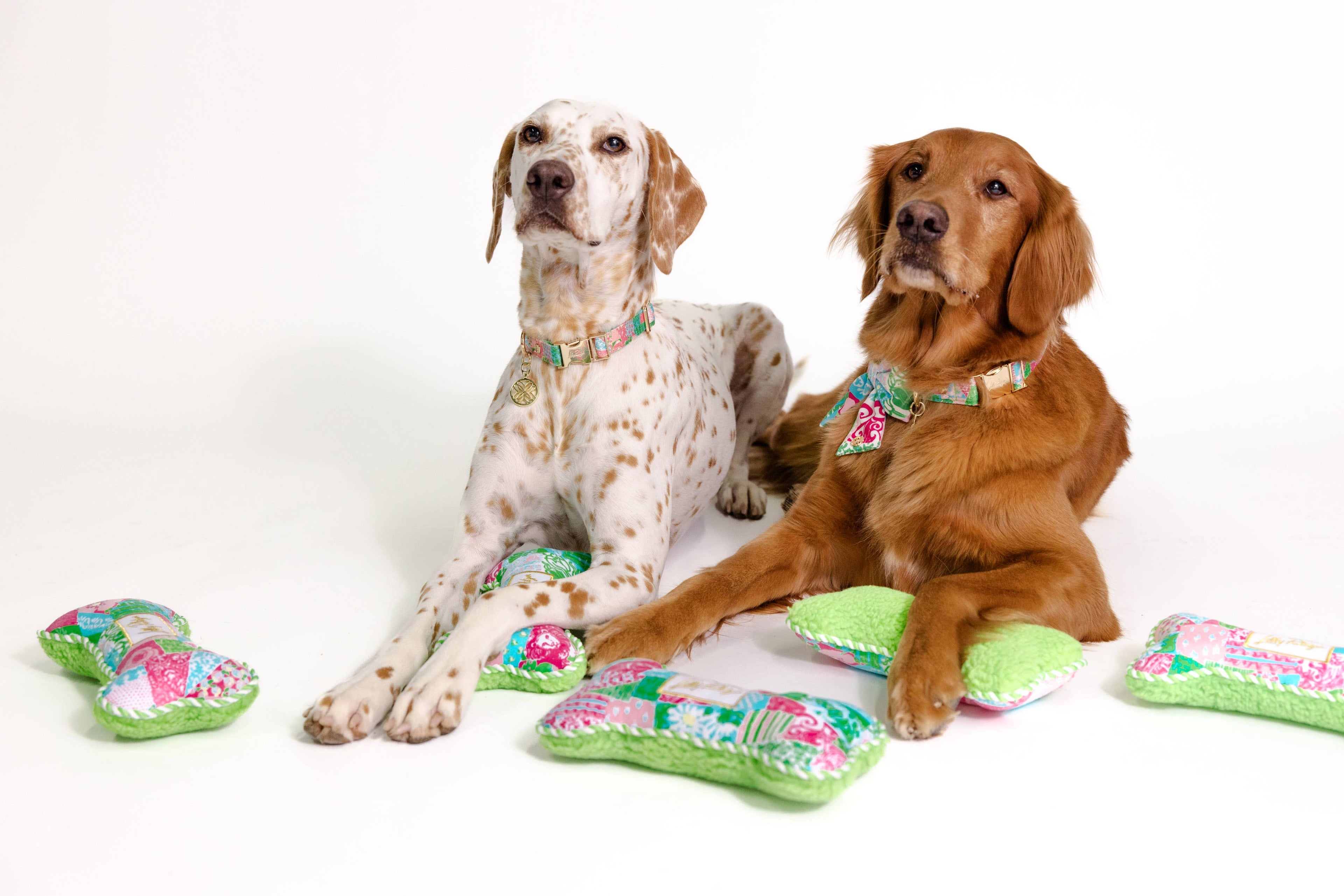 Dog Collar, Crazy Quilt Home (M/L)