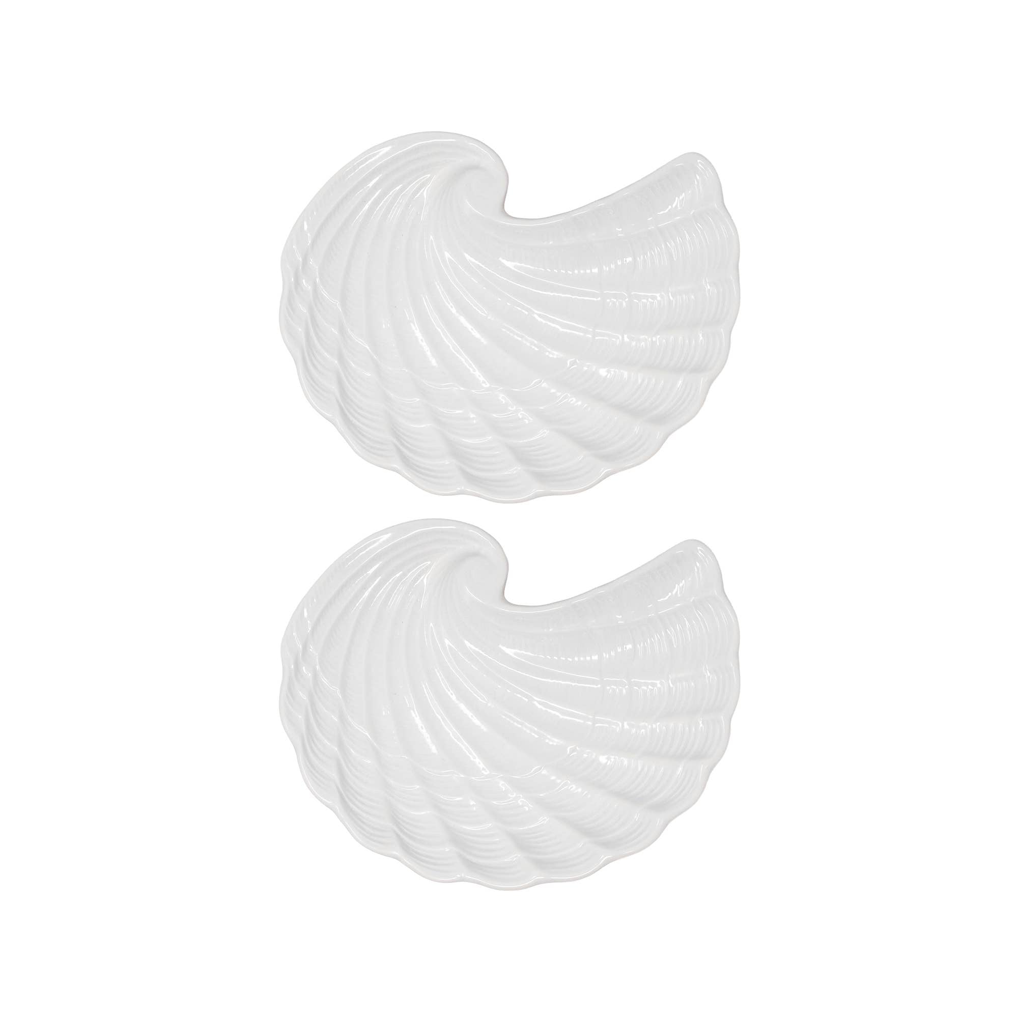 Shell Plate Set, Nautilus