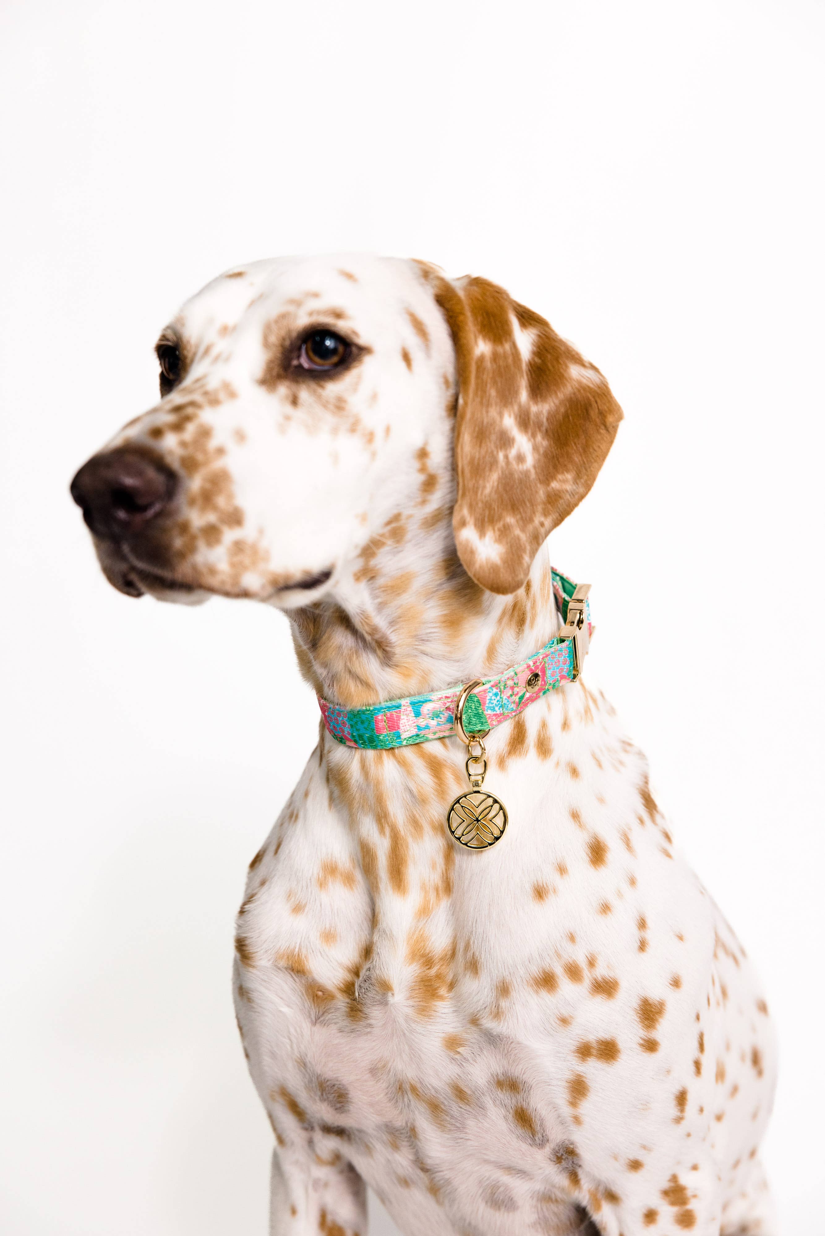 Dog Collar, Crazy Quilt Home (M/L)