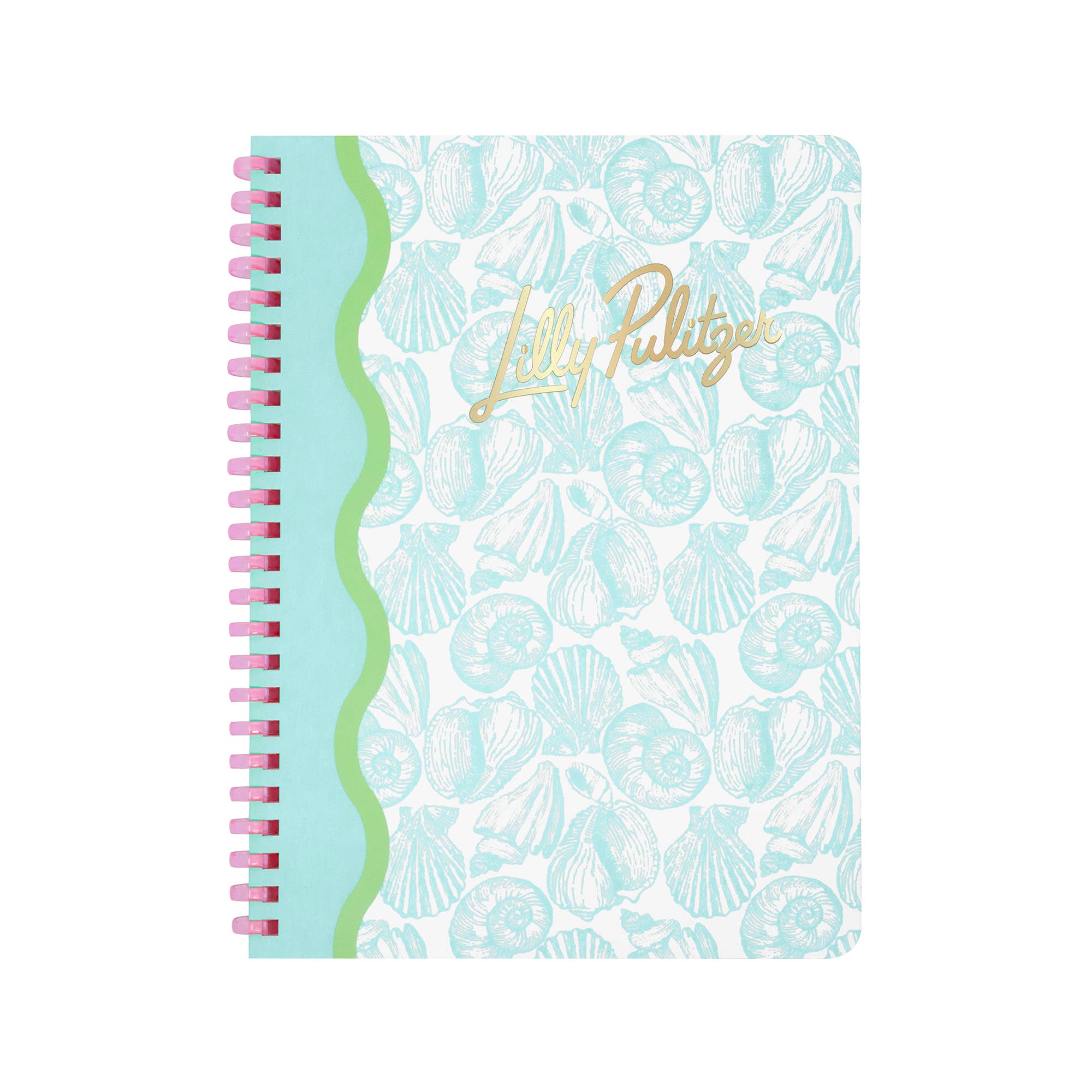 Mini Notebook, Shelden Shells