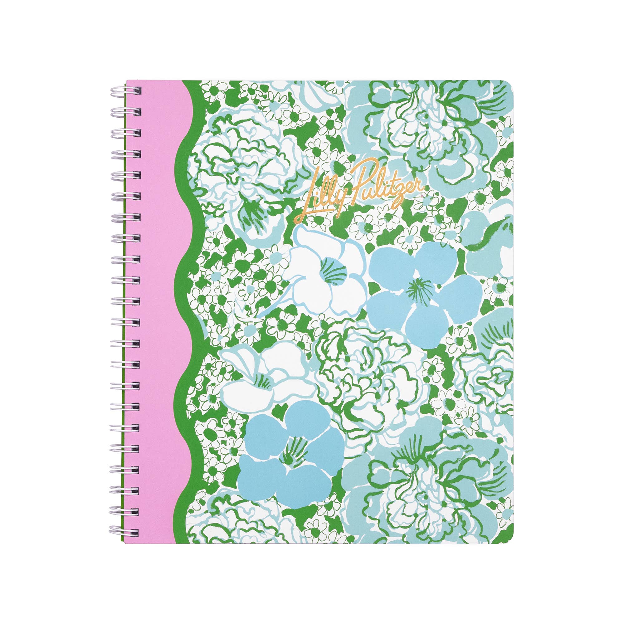 Large Notebook, Mint Condition Burst of Joy