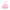 Neoprene Cooler, Conch Shell Pink Burst of Joy
