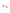 Parker Starfish Stud Earrings - GOLD BRIGHT PINK MOTHER OF PEARL 3