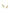 Parker Starfish Huggie Earrings - GOLD 2